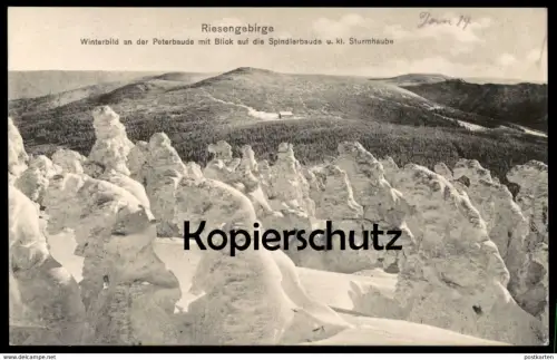 ALTE POSTKARTE RIESENGEBIRGE WINTERBILD AN DER PETERBAUDE 1914 BLICK SPINDLERBAUDE BÖHMEN Petrova bouda cpa postcard AK