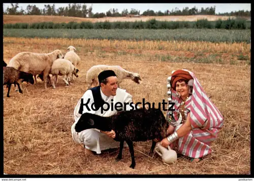 ÄLTERE POSTKARTE LIBYA VEDUTA CAMPESTRE RURAL VIEW VUE CHAMPETRE TRACHT traditional costume folklorique libye sheep cpa
