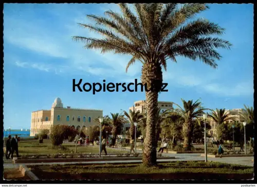 ÄLTERE POSTKARTE LATTAKIA HOTEL AL-SYAHA Al-Siaha Lattaquié garden jardin Syrie Syria Syrien cpa postcard Ansichtskarte