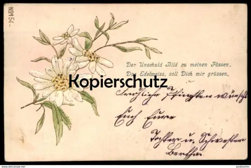 ALTE PRÄGE POSTKARTE EDELWEISS 1901 DER UNSCHULD BILD Pflanze flower embossed postcard cpa gauffrée Ansichtskarte
