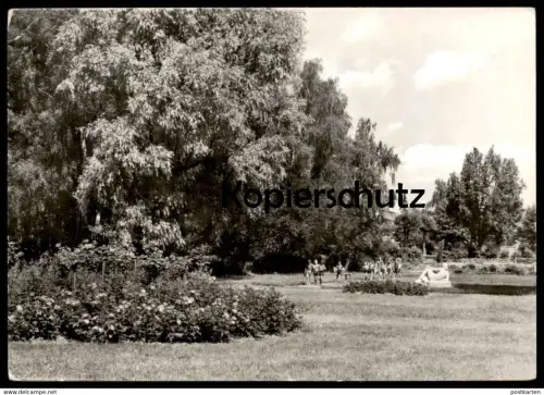 ÄLTERE POSTKARTE KYRITZ ROSENPARK BRANDENBURG Garten garden jardin Kinder enfants children postcard cpa AK Ansichtskarte