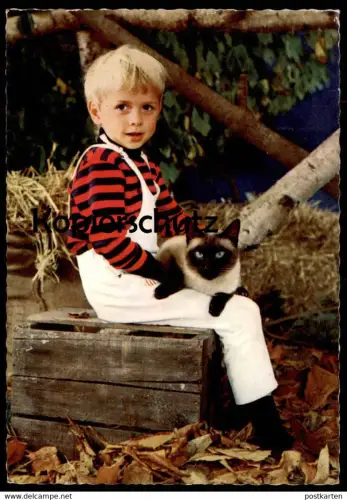 ÄLTERE POSTKARTE KIND JUNGE MIT RAGDOLL KATZE child with cat enfant avec chat boy Ansichtskarte AK cpa postcard animal