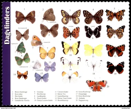 POSTKARTE DAGVLINDERS SCHMETTERLINGE BUTTERFLY Schmetterling Dagvlinder papillon papillons butterflies insect insecte AK