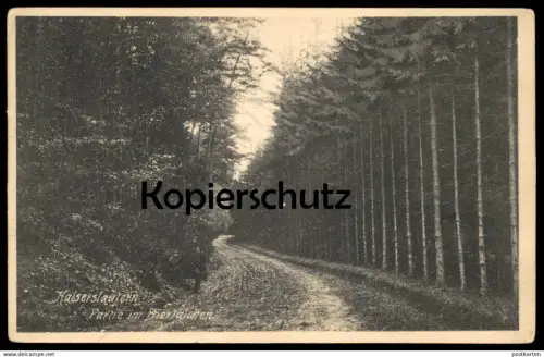 ALTE POSTKARTE KAISERSLAUTERN PARTIE IM BIERTÄLCHEN MANN 1908 man homme AK Ansichtskarte cpa postcard