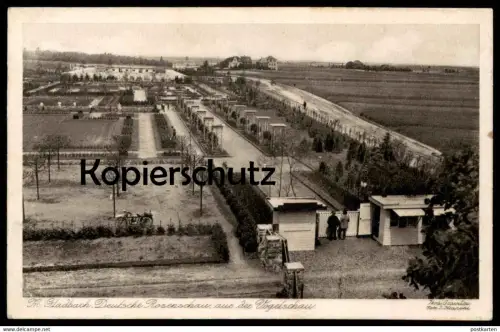 ALTE POSTKARTE DEUTSCHE ROSENSCHAU MÖNCHENGLADBACH AUS VOGELSCHAU Rose Rosen flower Blumen Blume Schau motorcycle moto