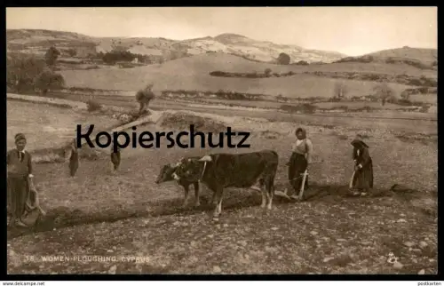 ALTE POSTKARTE WOMEN PLOUGHING CYPRUS RAPHAEL TUCK'S POSTCARD farmer Bauer Kühe Cows Vaches Chypre Zypern cultivateur AK