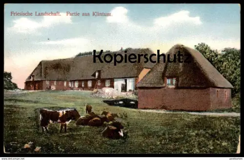 ALTE POSTKARTE PARTIE AUS KLINTUM FRIESISCHE LANDSCHAFT LECK HOF NAHNSEN ? BAUERNHAUS BAUERNHOF farm house ferme cow