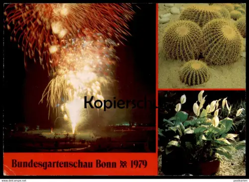 ÄLTERE POSTKARTE BONN BUNDESGARTENSCHAU 1979 FEUERWERK KATKUS KAKTEEN FIREWORKS Cactus Cactier Feu d'artifice postcard