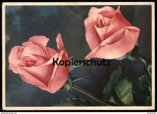 ALTE POSTKARTE ROSEN DEIN WORT IST MEINES FUSSES LEUCHTE Blume Flower Fleur Flowers Rose Stempel Lieberhausen 1944 AK