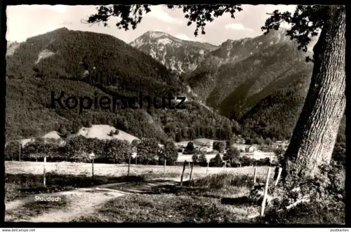 ÄLTERE POSTKARTE STAUDACH EGERNDACH PANORAMA BEI TRAUNSTEIN Eiche Baum oak tree chene arbre cpa postcard Ansichtskarte