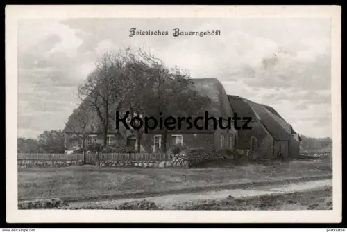 ALTE POSTKARTE FRIESISCHES BAUERNGEHÖFT BAUERNHAUS FRIESLAND Haus traditional house farm Bauernhof ferme Ansichtskarte