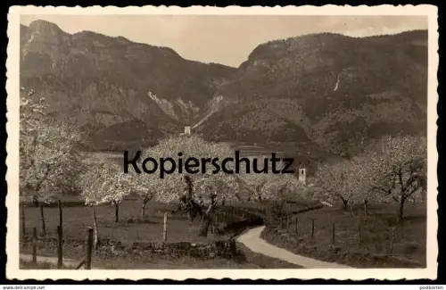 ALTE POSTKARTE APPIANO PRESSO BOLZANO EPPAN BOZEN Alto Adige Val Gardena Dolomiti Italia postcard Kirsche cherry tree