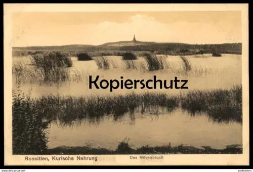 ALTE POSTKARTE ROSSITTEN DAS MÖVENBRUCH KURISCHE NEHRUNG KURISCHES HAFF OSTPREUSSEN Rybatschi Rybachi cpa Ansichtskarte