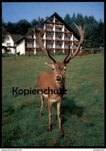POSTKARTE HORHAUSEN-OBERSTEINEBACH WALDHOTEL HEIDERHOF HIRSCH FLAMMERSFELD roe fallow deer daim chevreuil cerf postcard