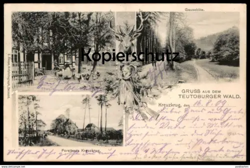 ALTE POSTKARTE FORSTHAUS KREUZKRUG GAUSEKÖTE GRUSS AUS DEM TEUTOBURGER WALD Hirsch Horn-Bad Meinberg Schlangen Detmold