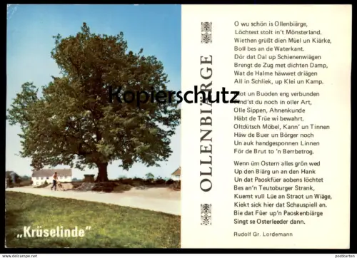 POSTKARTE KRÜSELINDE OLLENBIÄRGE ALTENBERGE LINDE BAUM TREE ARBRE Tilleul Linden Plattdeutsch Dialekt dialect postcard
