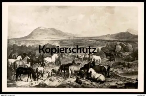 ALTE POSTKARTE GESTÜT LIPPIZA NACH EINEM GEMÄLDE J. G. HAMILTON Lipizza Lipica Lipizzaner Lipizzan horse horses cheval