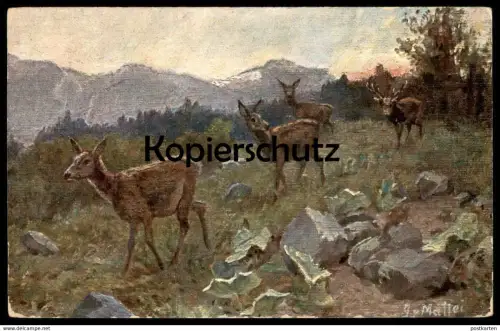 ALTE KÜNSTLER POSTKARTE REHE & HIRSCH SIGN. MATTEI Reh red deer cerf élaphe chevreuil cervo cpa postcard Ansichtskarte