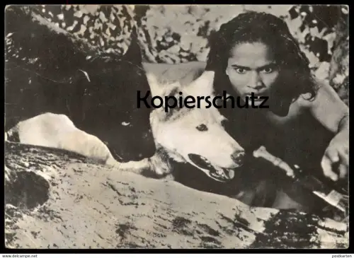 ALTE KARTE DAS DSCHUNGELBUCH MOGLI MIT WOLF UND PANTHER Phantère Loup The jungle book Rudyard Kipling Kuno's Film