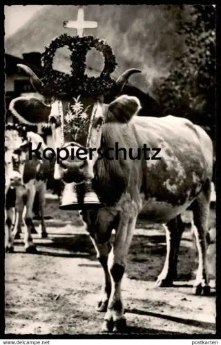 ÄLTERE POSTKARTE DIE GLOCKENKUH ALMABTRIEB BAYRISCHZELL KUH GLOCKE bell clarine cloche de vache sonnaille cowbell cpa AK