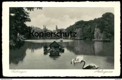 ALTE POSTKARTE TÜBINGEN 1927 ANLAGENSEE SEE ANLAGEN PARK Schwan Schwäne swan cygne cygnes swans postcard Ansichtskarte