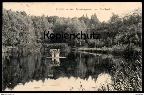 ALTE POSTKARTE THORN AM SCHWANENTEICH AM STADTWALD Torun Ostpreussen Ostpreußen polska poland cpa postcard Ansichtskarte