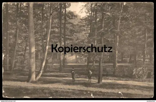 ALTE POSTKARTE STETTIN MOTIV AUS DEN ANLAGEN Szczecin Pommern cpa postcard AK Ansichtskarte