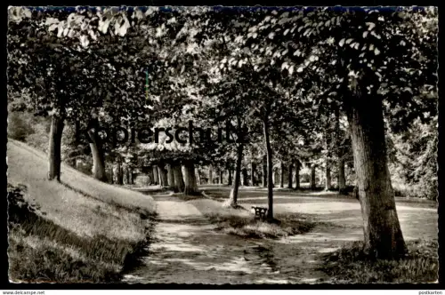 ÄLTERE POSTKARTE TÖNNING AN DER EIDER SCHLOSSGARTEN Baum tree arbre Allee alley Ansichtskarte AK cpa postcard