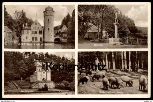 ALTE POSTKARTE SCHLOSS MESPELBRUNN SPESSART BRUNNEN GRUFTKAPELLE WILDSCHWEINFÜTTERUNG castle chateau cpa postcard AK