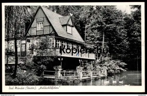 ÄLTERE POSTKARTE BAD MÜNDER AM DEISTER WALDSCHLÖSSCHEN See Schwäne Teich Ansichtskarte AK cpa postcard