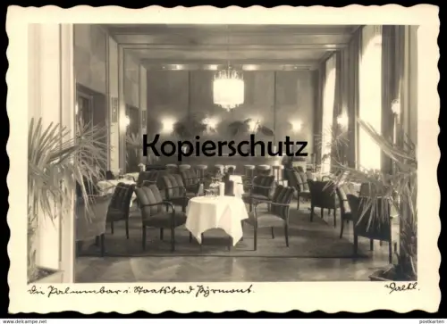 ALTE POSTKARTE BAD PYRMONT DIE PALMENBAR IM STAATSBAD 1949 BAR PALMEN SESSEL Ansichtskarte AK postcard cpa