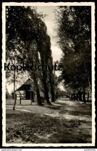 ALTE POSTKARTE ZINGST BISMARCKSTRASSE 1940 bei Barth Ribnitz-Damgarten Prerow Allee alley Bauernhaus farm house cpa AK