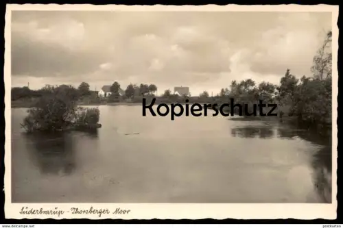 ALTE POSTKARTE SÜDERBRARUP THORSBERGER MOOR marécage Halbinsel Angeln b. Kappeln Schleswig postcard cpa Ansichtskarte