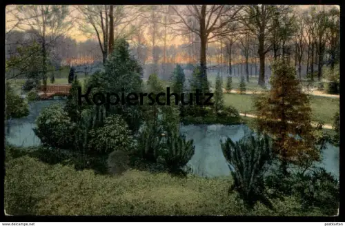 ALTE POSTKARTE ZITTAU SACHSEN WEINAU 1916 Sachsen Park Garten Ansichtskarte cpa AK postcard