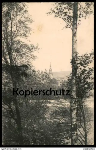 ALTE POSTKARTE ROCHLITZ IN SACHSEN BLICK VON DER JUNKERBERG PROMENADE NACH DER KUNIGUNDEN KIRCHE Ansichtskarte AK cpa