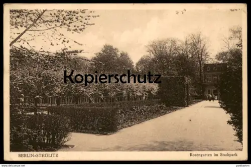 ALTE POSTKARTE BERLIN STEGLITZ ROSENGARTEN IM STADTPARK Rosenbeet Garden Blume Flower Fleur Flowers Rosen Rose postcard