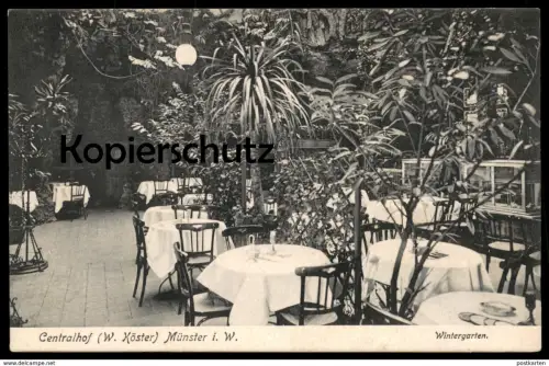 ALTE POSTKARTE MÜNSTER WESTFALEN CENTRALHOF W. KÖSTER WINTERGARTEN Restauration Ansichtskarte cpa postcard AK