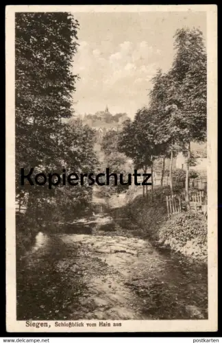 ALTE POSTKARTE SIEGEN SCHLOSSBLICK VOM HAIN AUS HOHLWEG ALTER WEG Schloss chateau castle Ansichtskarte cpa postcard AK