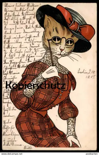 ALTE POSTKARTE KATZE ALS DIVA STRENG DAME VERMENSCHLICHT Brille Kostüm glasses lunettes Katzen Cat Chat Cats Chats cpa