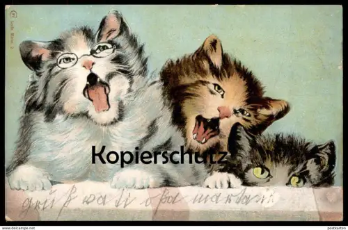 ALTE POSTKARTE VERMENSCHLICHTE FAUCHENDE KATZEN BRILLE TRAGEND Mieze glasses lunettes Katze angry cat cats chat postcard
