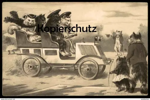ALTE POSTKARTE KATZEN ALS CHAUFFEUR AUTOMOBIL 1914 CATS Katze cat chat chats car voiture Ansichtskarte postcard