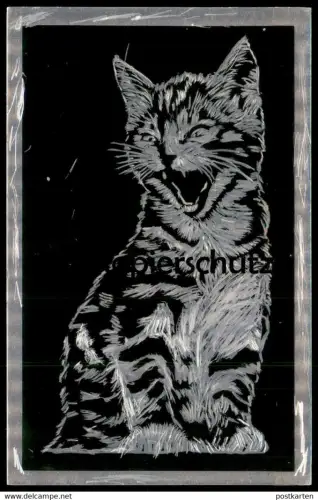 ÄLTERES KRATZBILD FAUCHENDE KATZE KRATZKARTE CAT CHAT GATTO Silber scratch art Karte Bild