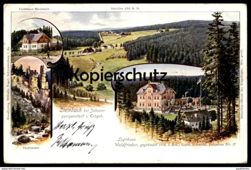 ALTE LITHO POSTKARTE STEINBACH BEI JOHANNGEORGENSTADT LOGIRHAUS WALDFRIEDEN FORSTHAUS TEUFELSTEIN AK cpa Ansichtskarte