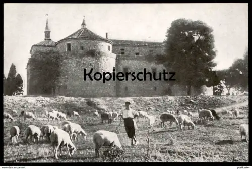 ÄLTERE POSTKARTE CASTILLO DE VILLAVICIOSA DE ODÓN sheep herde Hirte Schafe La Oveja castle cpa postcard Ansichtskarte