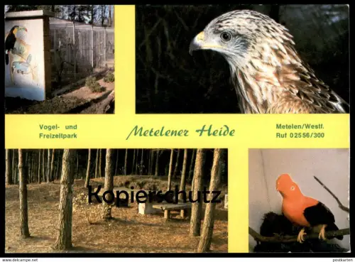POSTKARTE VOGELPARK TIERPARK METELENER HEIDE METELEN BIRD ZOO Garden jardin zoologique oiseau cpa postcard Ansichtskarte