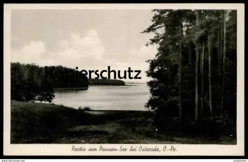 ALTE POSTKARTE OSTERODE PAUSEN-SEE OSTRODA OSTPREUSSEN Ostpreußen Ermland-Masuren Poland Polska cpa postcard AK