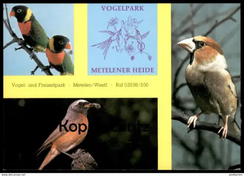 POSTKARTE VOGELPARK TIERPARK METELENER HEIDE METELEN BIRD ZOO Garden jardin zoologique oiseau cpa postcard Ansichtskarte