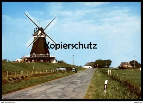 POSTKARTE PELLWORM NORDFRIESLAND MÜHLE WINDMÜHLE MILL WINDMILL MOLEN MOLE MOULIN Muhle Muehle RENAULT 4 cpa postcard AK