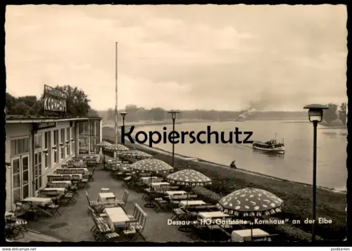 ÄLTERE POSTKARTE DESSAU HO GASTSTÄTTE KORNHAUS AN DER ELBE Dampfer Schiff Steamship ship bateau à vapeur cpa postcard AK