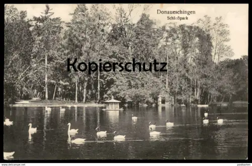 ALTE POSTKARTE DONAUESCHINGEN SCHLOSSPARK 1933 Schwäne Schwan swan cygne cpa postcard AK Ansichtskarte